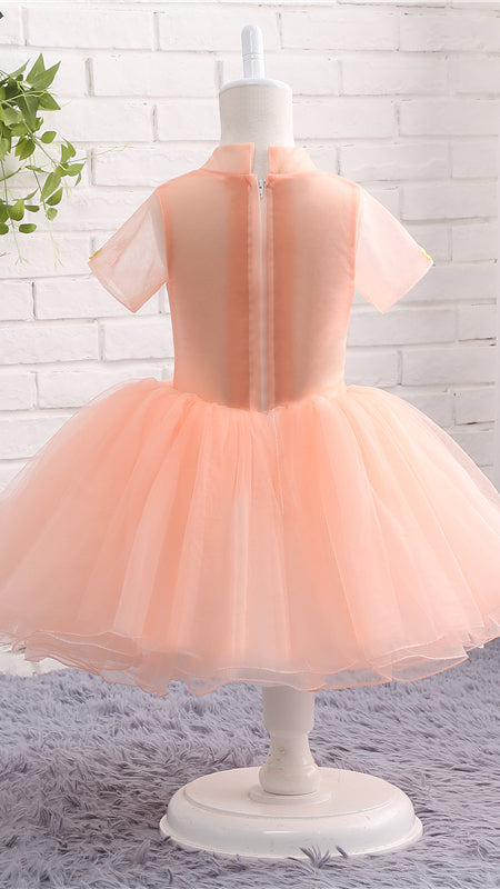 Tailored A-line Orange Flower Girl Dresses Round Neck Tulle Short Gown LFNGA006