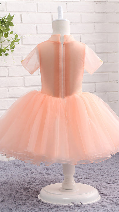 Tailored A-line Orange Flower Girl Dresses Round Neck Tulle Short Gown LFNGA006