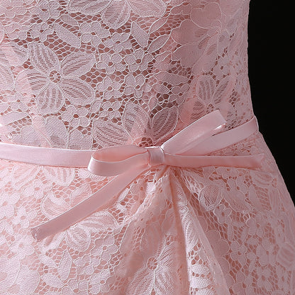 Gorgeous A-line Blush Pink  Evening Dress Round Neck Lace Tulle Maxi Dress LFNL0624