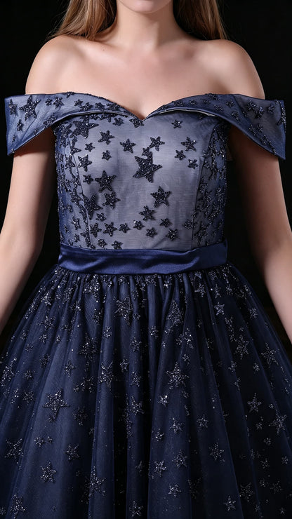 Elegant A-line Blue Evening Gowns Off the Shoulder Tulle Long Formal Dress LFNL0621